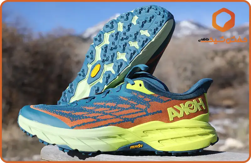 معرفی انواع کفش