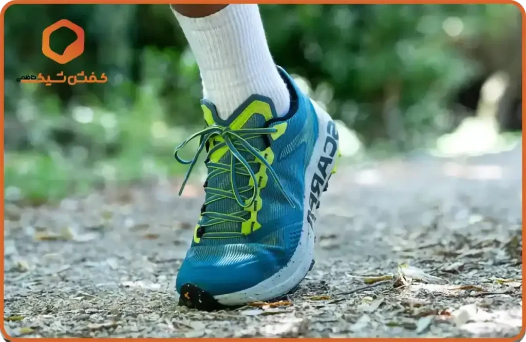 کفش اسکای رانینگ چیست