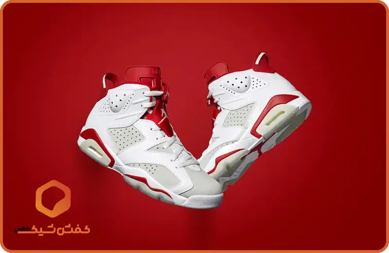 کفش جردن 6