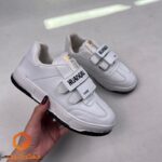 IMG_20251112_133241_776_copy_800x800